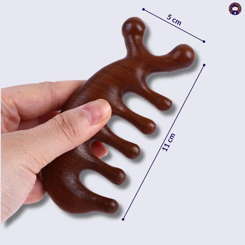 Peigne de massage méridien - Le Petit Masseur