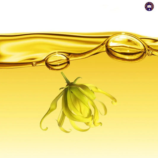 Huile essentielle d' Ylang Ylang | 100 ml - Le Petit Masseur