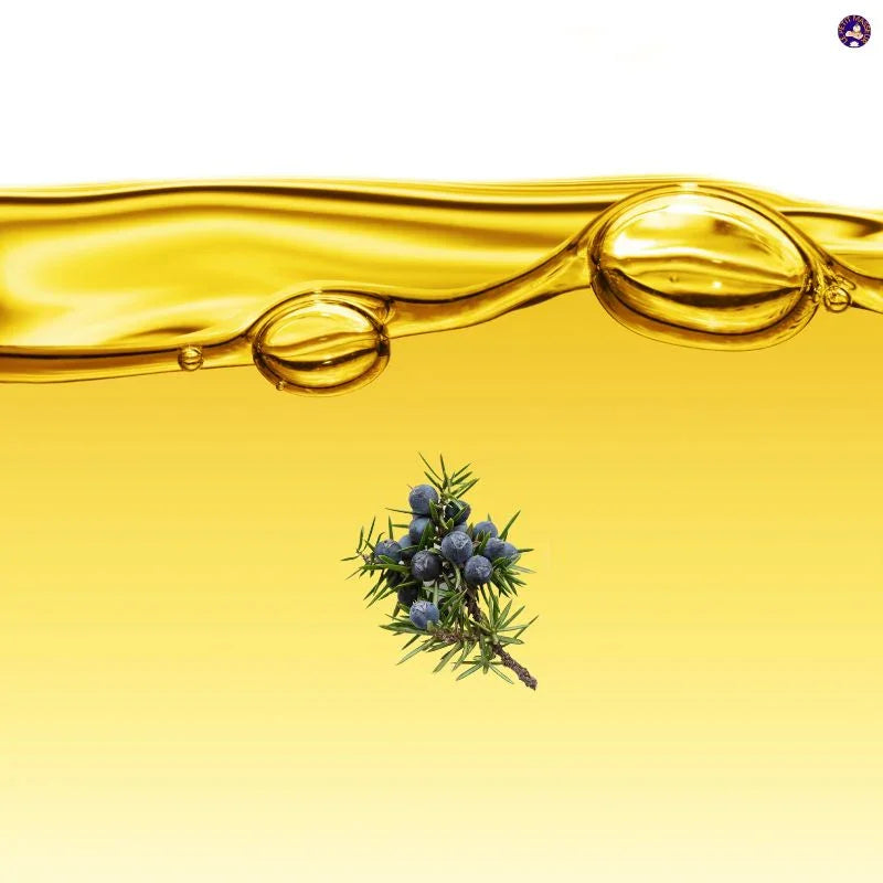 Huile essentielle de Genévrier | 100 ml - Le Petit Masseur