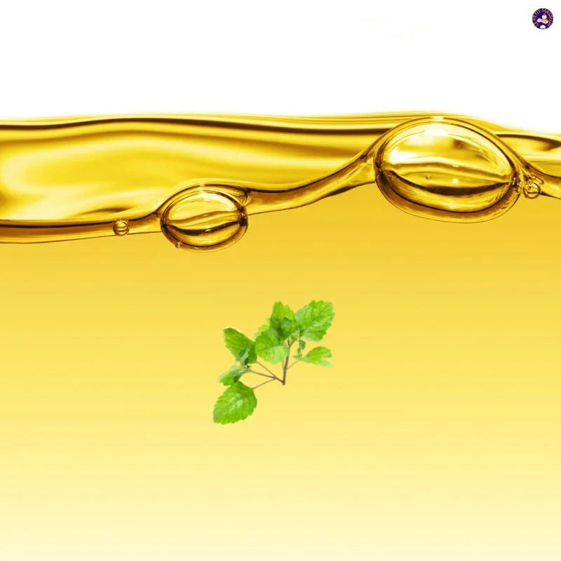 Huile essentielle de Patchouli | 100 ml - Le Petit Masseur