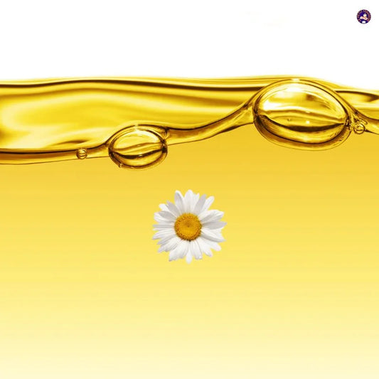 Huile essentielle de Camomille | 100 ml - Le Petit Masseur