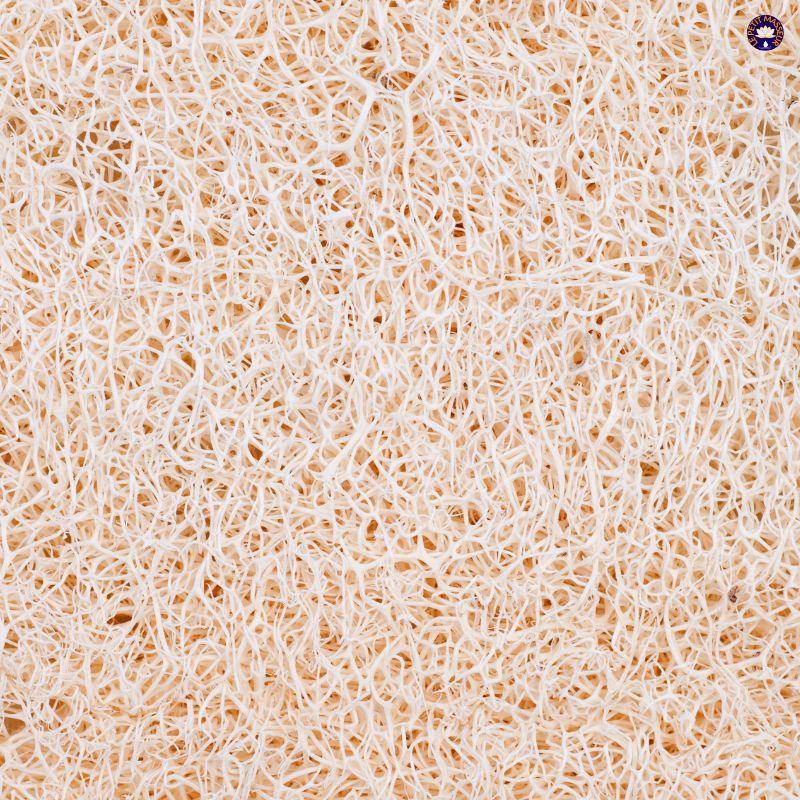 Eponge Luffa Naturelle - Le Petit Masseur