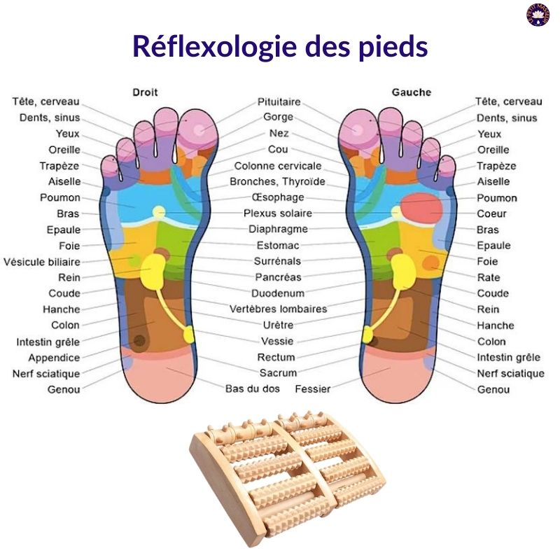 Rouleau de massage pour les pieds - Le petit masseur