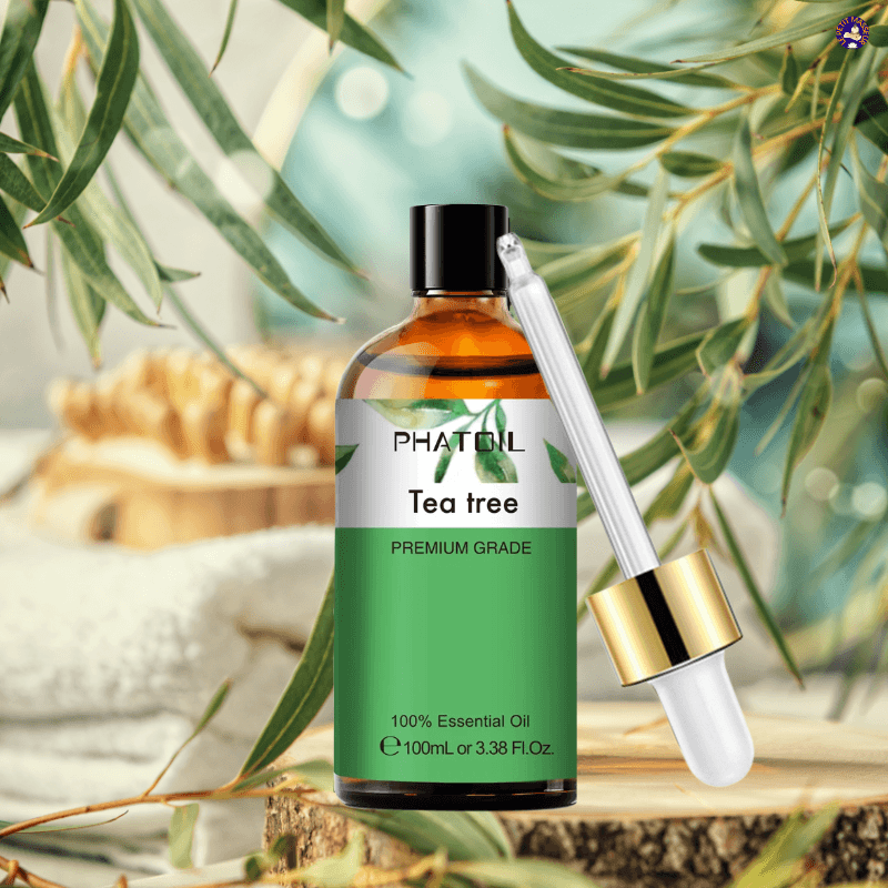 Huile essentielle d'Arbre à Thé | 100 ml - Le petit masseur