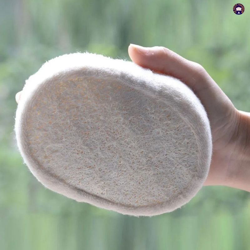 Eponge Luffa Naturelle - Le petit masseur