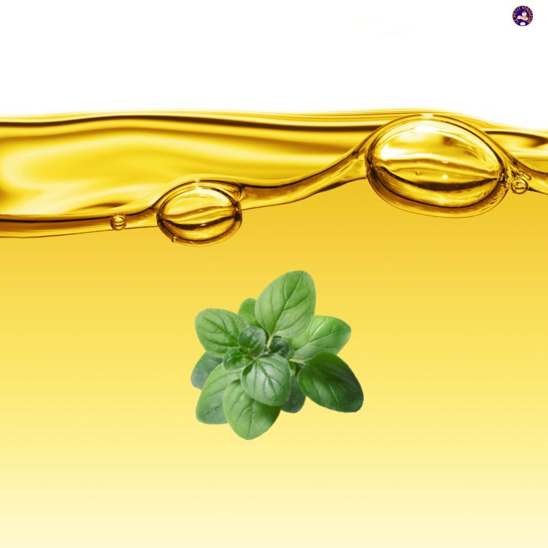 Huile essentielle d'Origan | 100 ml - Le petit masseur