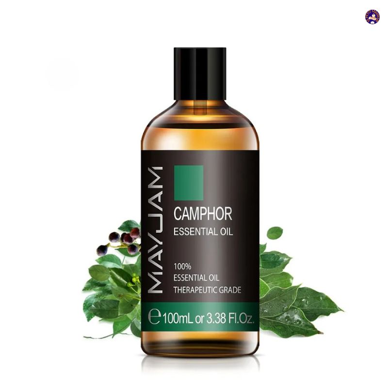 Huile essentielle de Camphre | 100 ml - Le petit masseur